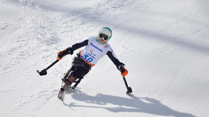 an para alpine skier skies down the slope