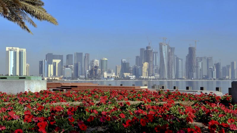 A skyline with many skyscrapers in the background. Red flowers and water in the front.