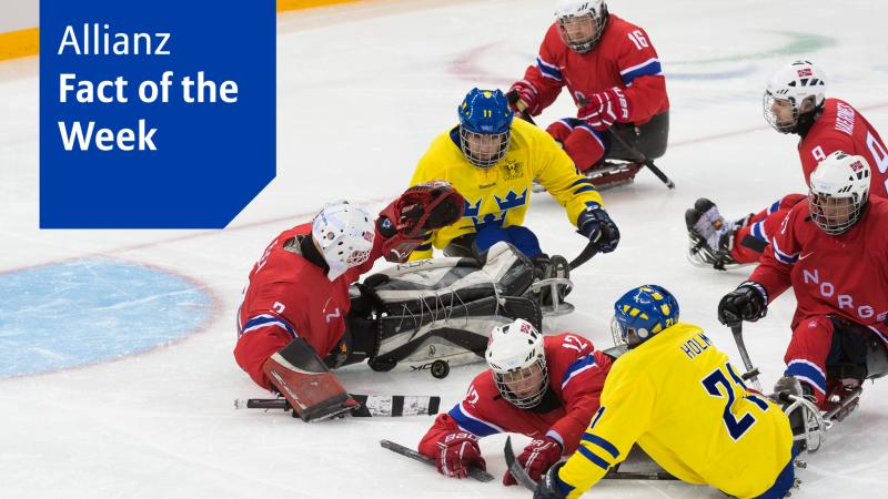 Allianz Fact of the Week Ice sledge hockey