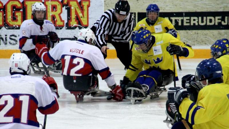 Sledge hockey players on the ice in action