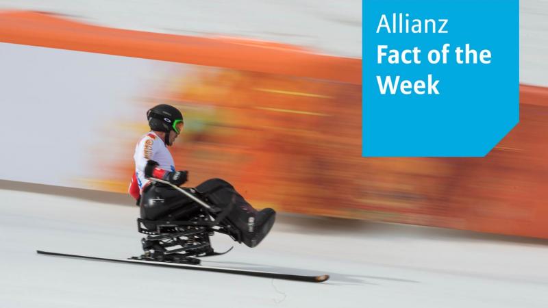 Skier in a sit-ski racing down a slope.