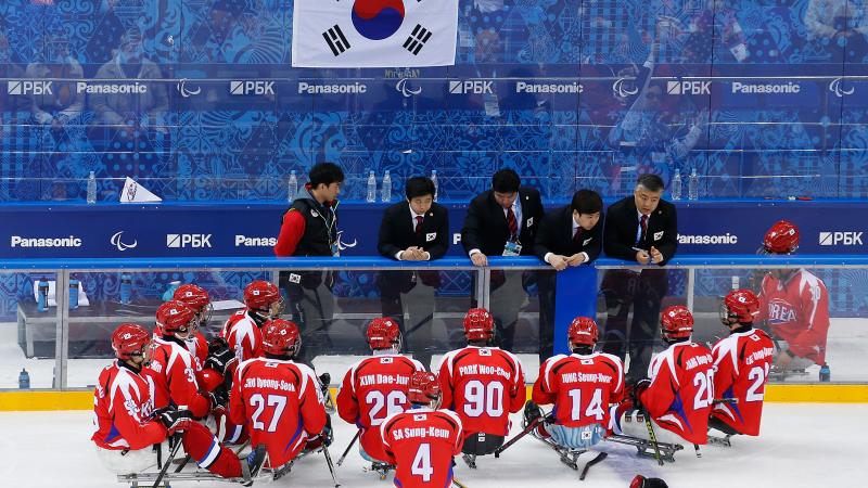 Ice Sledge Hockey Korea