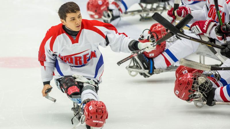 Seung-Hwan Jung of South Korea competes at the 2015 IPC Ice Sledge Hockey World Championships B-Pool in Ostersund, Sweden