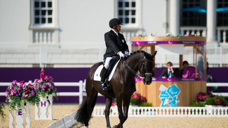 Man on horse riding in a stadium