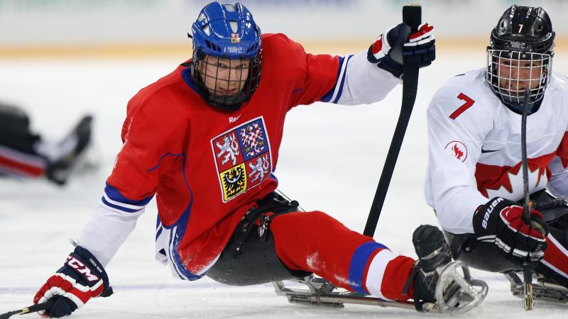 Man on hockey sledge focusing on the puk