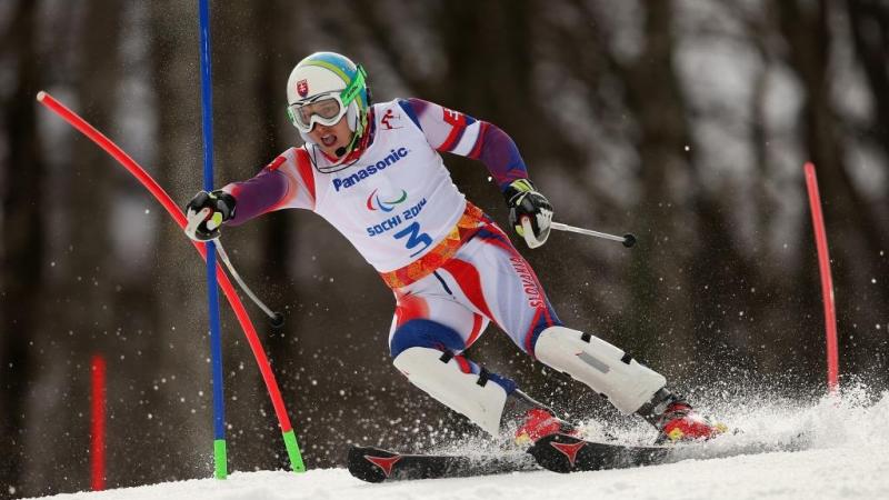 Miroslav Haraus - Ones to watch 2015/16 - Alpine skiing Miroslav Haraus