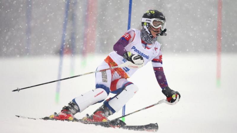 Henrieta Farkasova - Ones to watch 2015/16 - Alpine skiing Henrieta Farkasova
