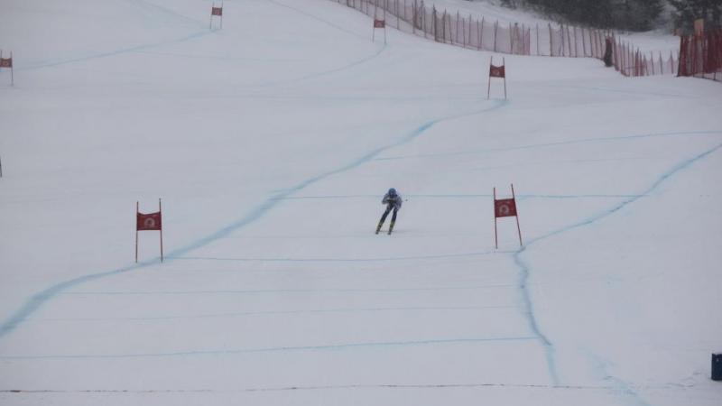 alpine skiing