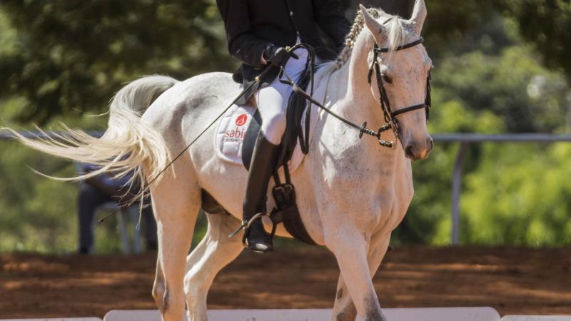 Man ridings on a white horse. 