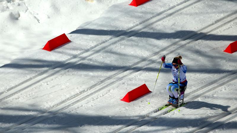 A female sit-skier takes to the trails