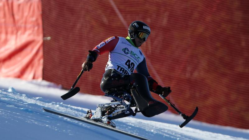 sit skier in action on a slope