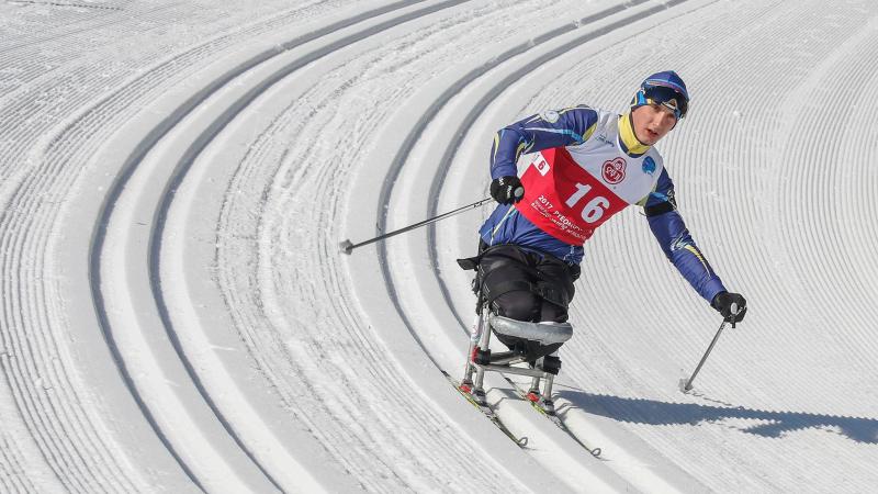 a sitting biathlete skies down a slope