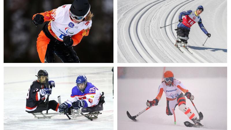 four winter para athletes compete 