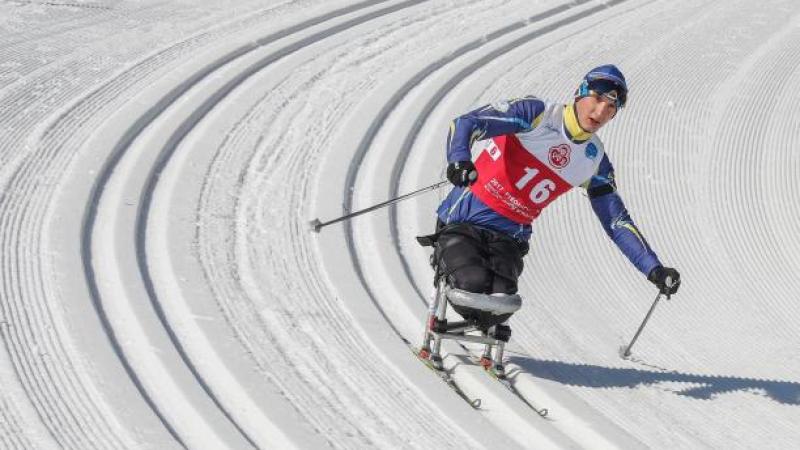 a male Para Nordic skier