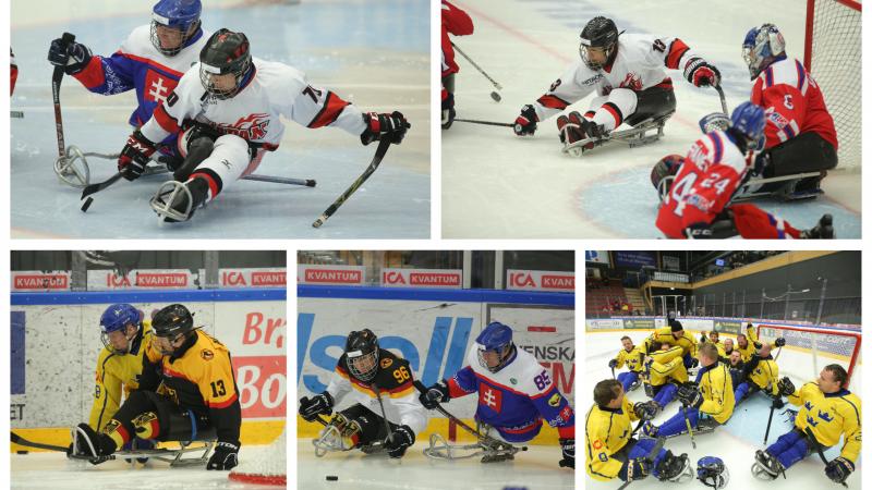 Para ice hockey players on the ice