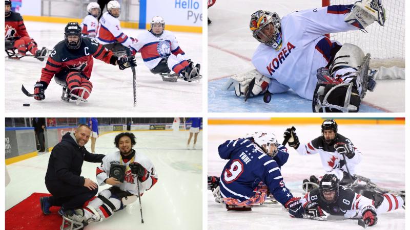 Para ice hockey players competing on the ice