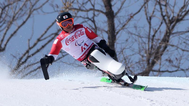 A male Para alpine skier