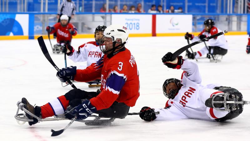 Para ice hockey players battling for the puck