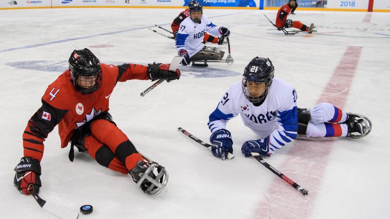 Two athletes playing Para ice hockey