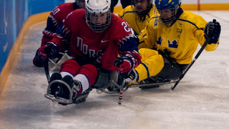 Para ice hockey players in action