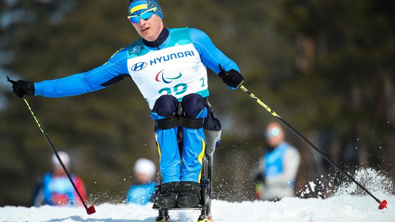 a male sit skier ploughs through the snow