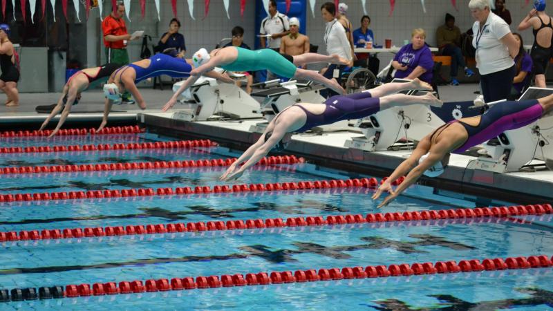 A group of female swimmers dive into a pool