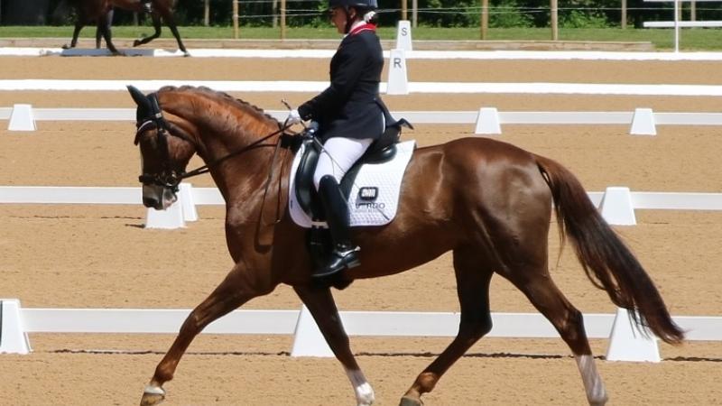 a female Para equestrian rider on a horse