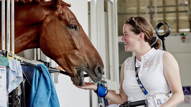 female Para equestrian rider Sanne Voets feeding her horse