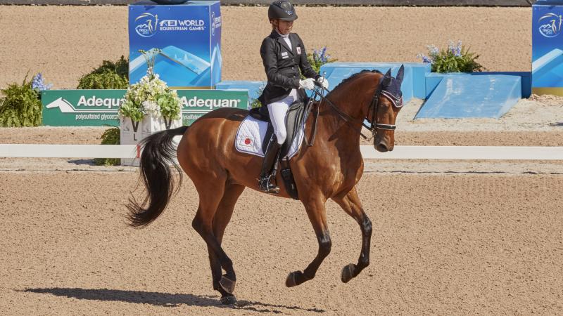 Japanese woman rides a horse as it dances around arena