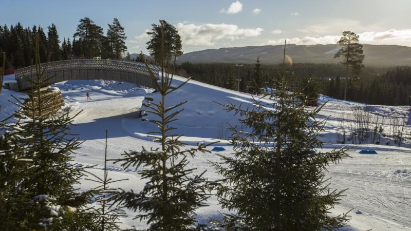 A cross-country skiing course full of snow