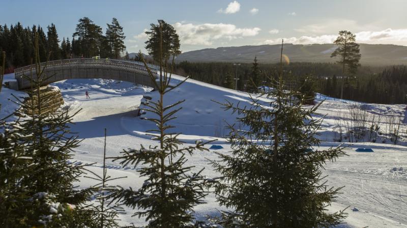 A cross-country skiing course full of snow