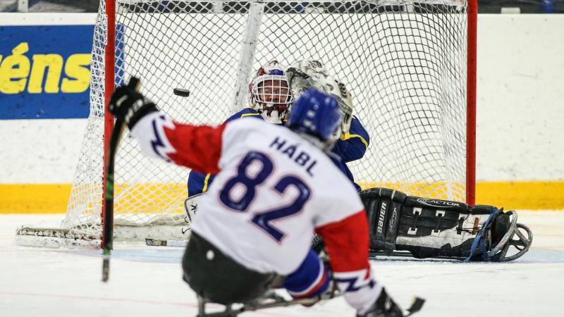 A Para ice hockey in front of the goal 