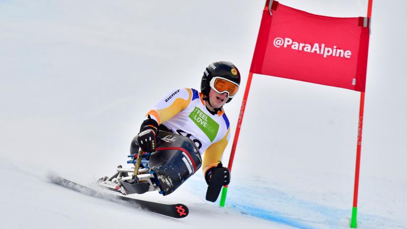 A male sit skierL
