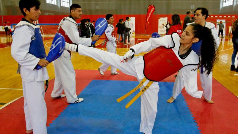 two taekwondo fighters