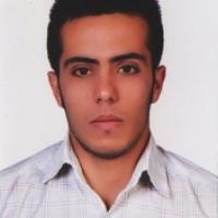 22848-Hamed Asgharian Asl photo