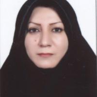 22869-Masoumeh Khodabakhshi photo