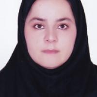 23784-Hashemiyeh Motaghian Moavi photo