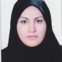 23785-Mahnaz Amini Nogourani photo