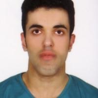 28048-Navid Allahyari photo