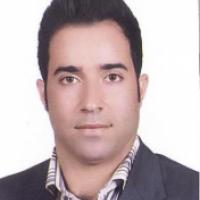 30312-Mehran Nikoee Majd photo