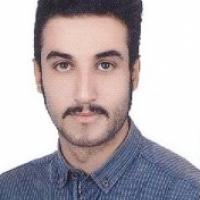 30321-Omid Zarifsanayei photo