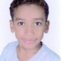 33254-Alaa Mersa photo