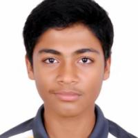 34934-Karthik Muralikrishna  photo