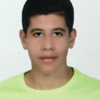 35207-Sina Zeyghaminejad photo