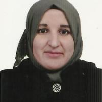 39194-Fouzia Hamidi photo