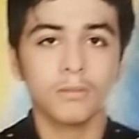 39284-Moein Shafaei Bilesavar photo