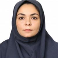 41311-Zahra Ghanbari photo