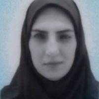 42768-Bahareh Ashkesh photo