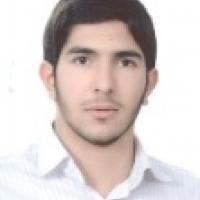 8761-Hassan Asgari photo