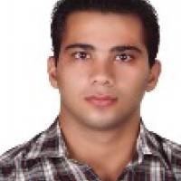 8772-Kamran Shokrisalari photo